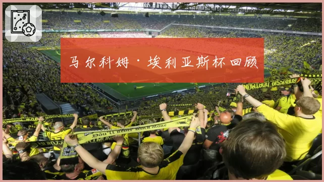 马尔科姆·埃利亚斯杯回顾