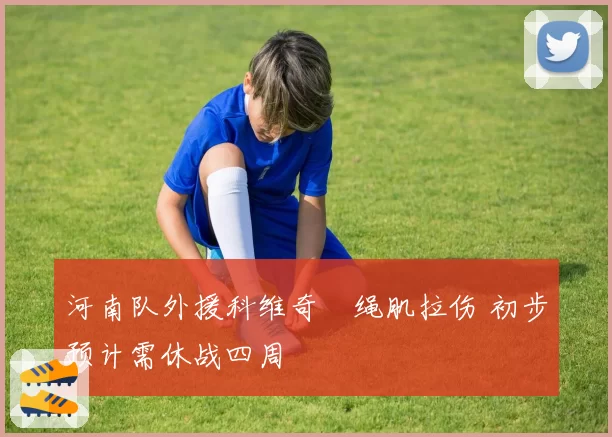 河南队外援科维奇腘绳肌拉伤 初步预计需休战四周