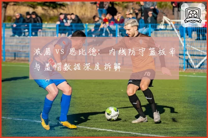 浓眉 vs 恩比德:内线防守篮板率与盖帽数据深度拆解
