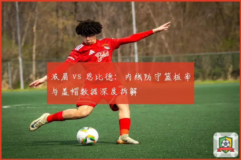浓眉 vs 恩比德：内线防守篮板率与盖帽数据深度拆解
