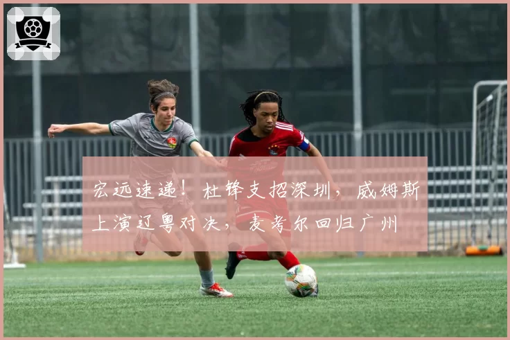宏远速递！杜锋支招深圳，威姆斯上演辽粤对决，麦考尔回归广州