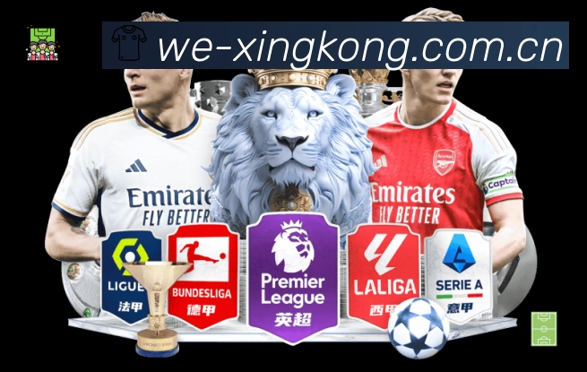 结构优化认证展示