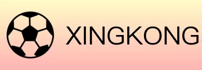 XINGKONG星空体育 logo